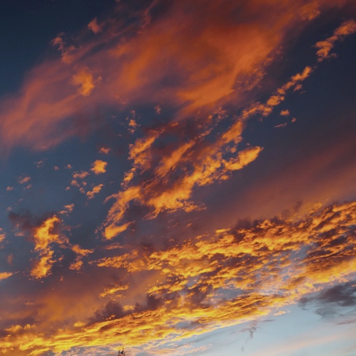 Secure the cloud, web, & private apps