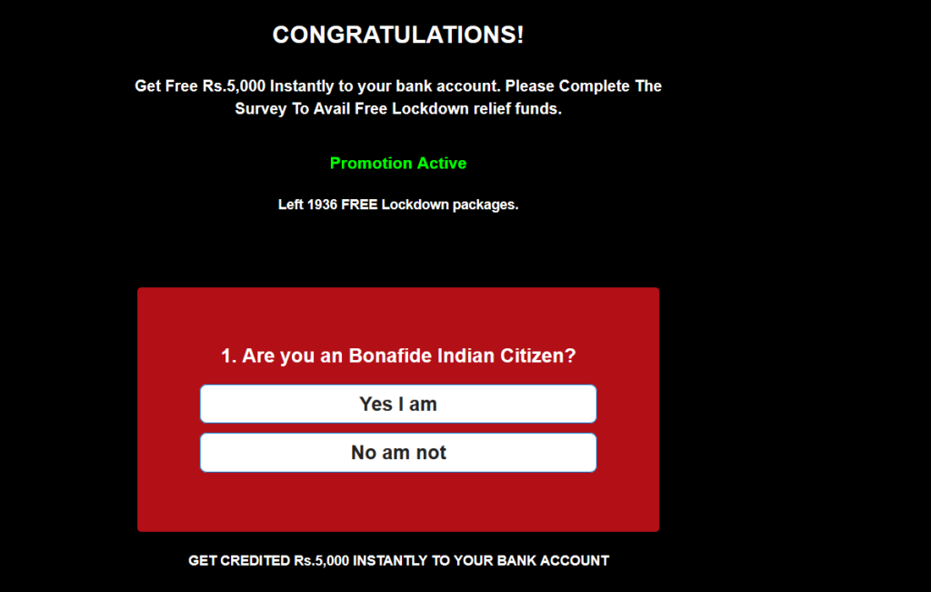 Screenshot showing Fake Government Lockdown Funds page