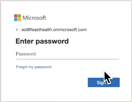 Screenshot of user entering password