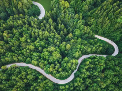 Curvy road through wooded area