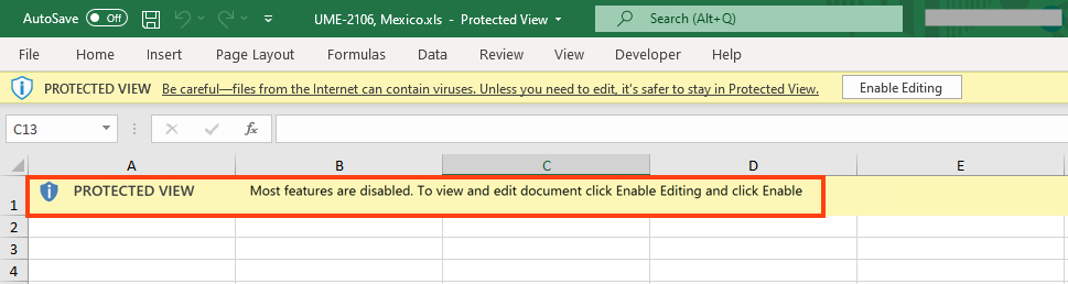 Example of spreadsheet message asking to click “Enable Editing”.