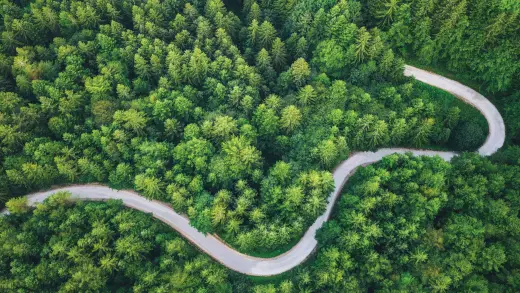 Caminho sustentável