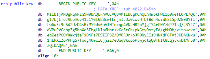 Screenshot of public RSA key used by the ransomware we analyzed.