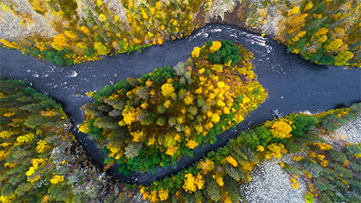 Eine Luftaufnahme von Stromschnellen, die während des Herbstlaubs in einer felsigen Schlucht fließen