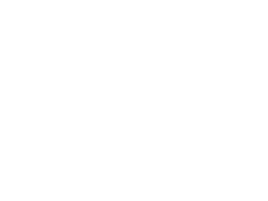 Esquema Nacional de Seguridad (categoría Alta)