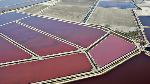 Aerial view of the agricultural landscape