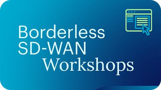 Taller Borderless SD-WAN