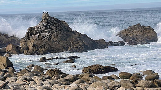 Ocean waves on rocks