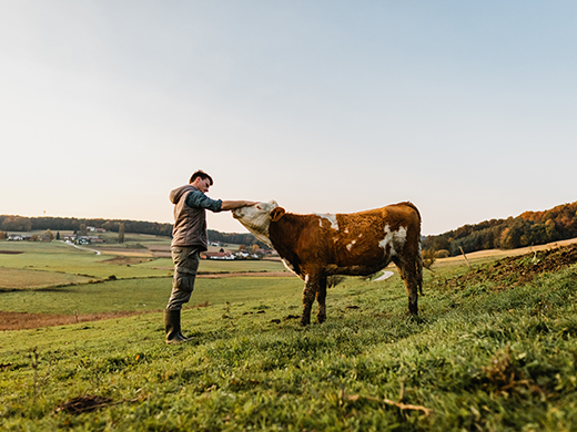 Bel Group konsolidiert Sicherheitstools zum Schutz eines zunehmend Cloud-orientierten Unternehmens