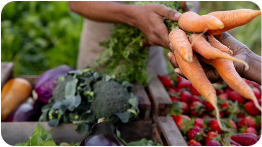 A GBFoods utiliza o poder da padronização para gerenciar sua organização dispersa e crescente