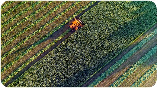 A Netskope protege os recursos da Orbia sem interromper os negócios