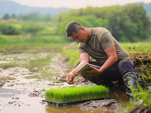 A Netskope protege os recursos da Orbia sem interromper os negócios