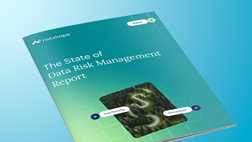 The State of Data Risk Management