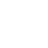 Royal Flying Doctor Services logo
